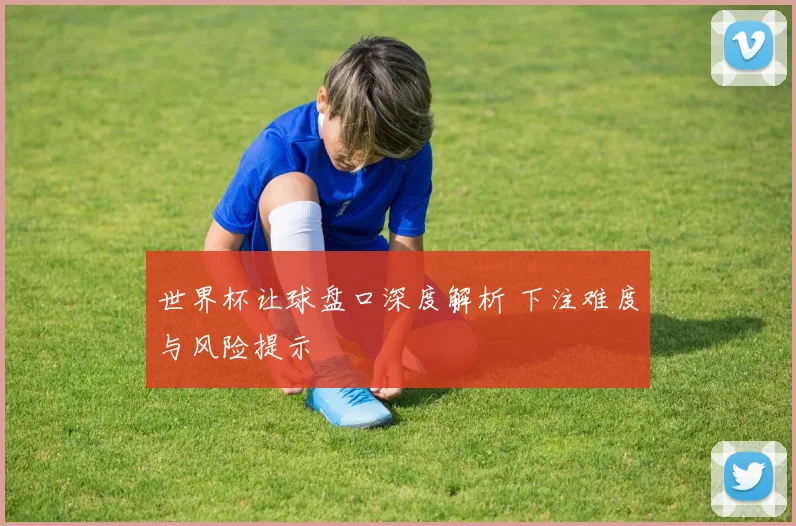世界杯让球盘口深度解析 下注难度与风险提示