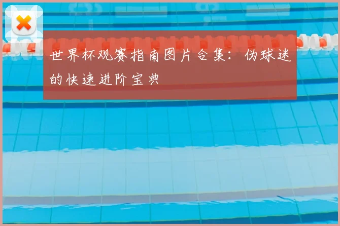 世界杯观赛指南图片合集:伪球迷的快速进阶宝典