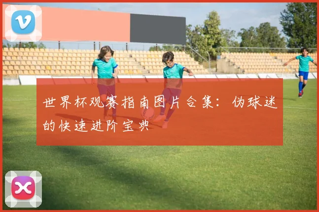 世界杯观赛指南图片合集:伪球迷的快速进阶宝典